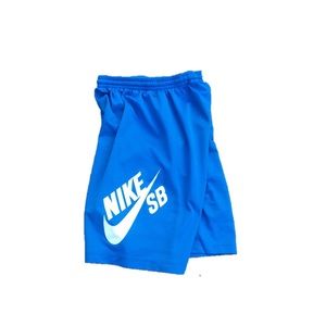 Nike SB Shorts (blue)